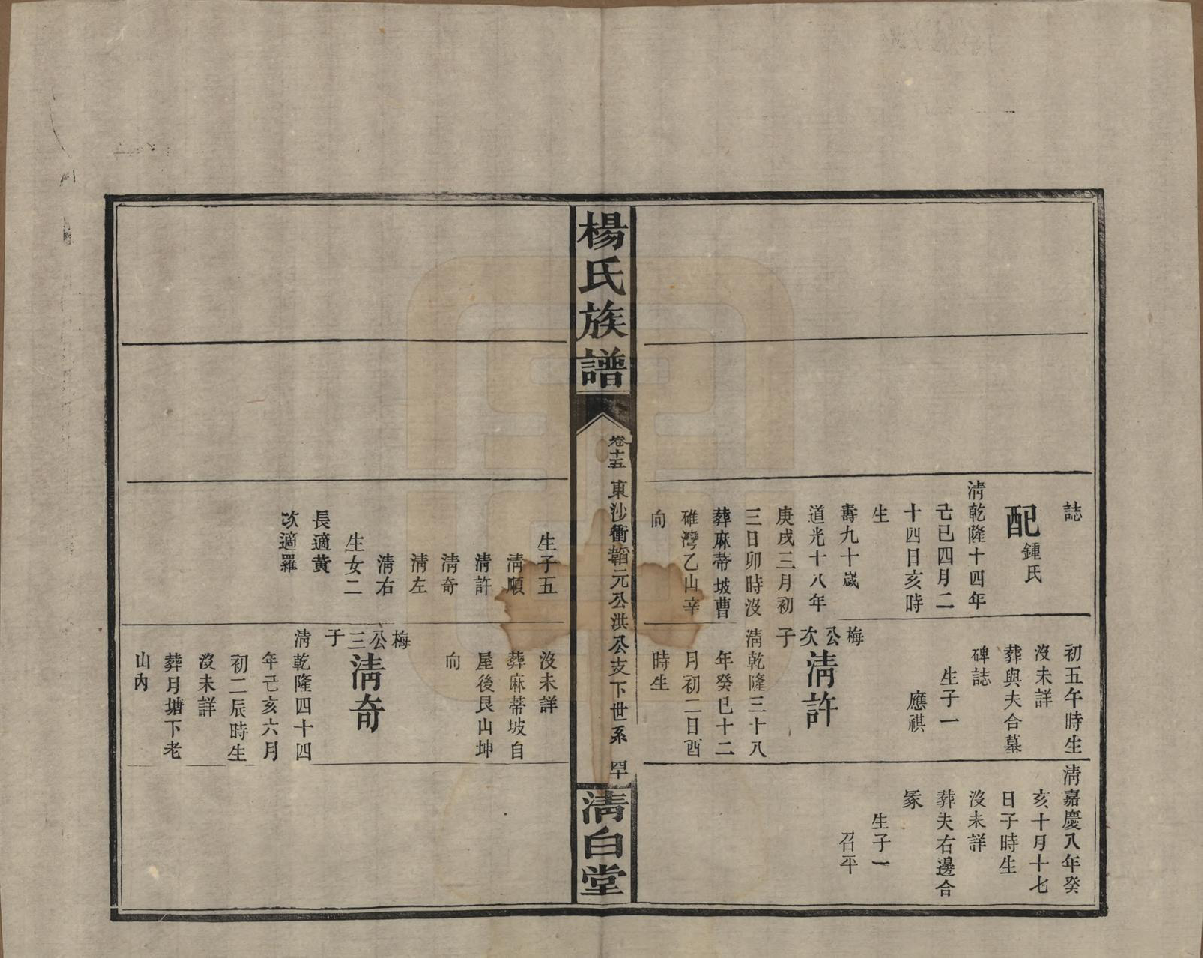 GTJP1975.杨.湖南浏阳、江西万载.杨氏族谱.清光绪27年[1901]_015.pdf_第3页