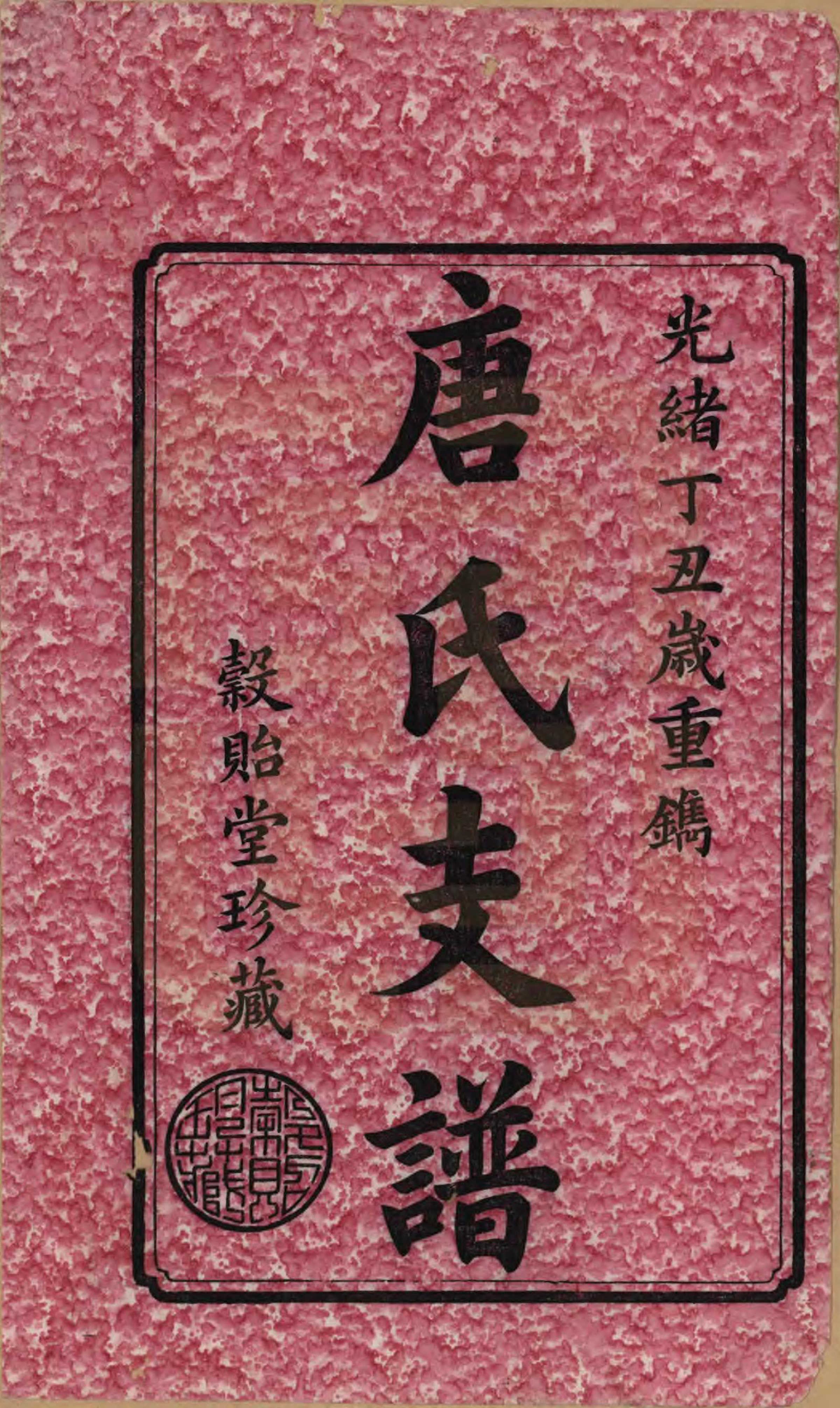 GTJP1407.唐.湖南长沙.善邑唐氏续修支谱.清光绪3年[1877]_001.pdf_第2页