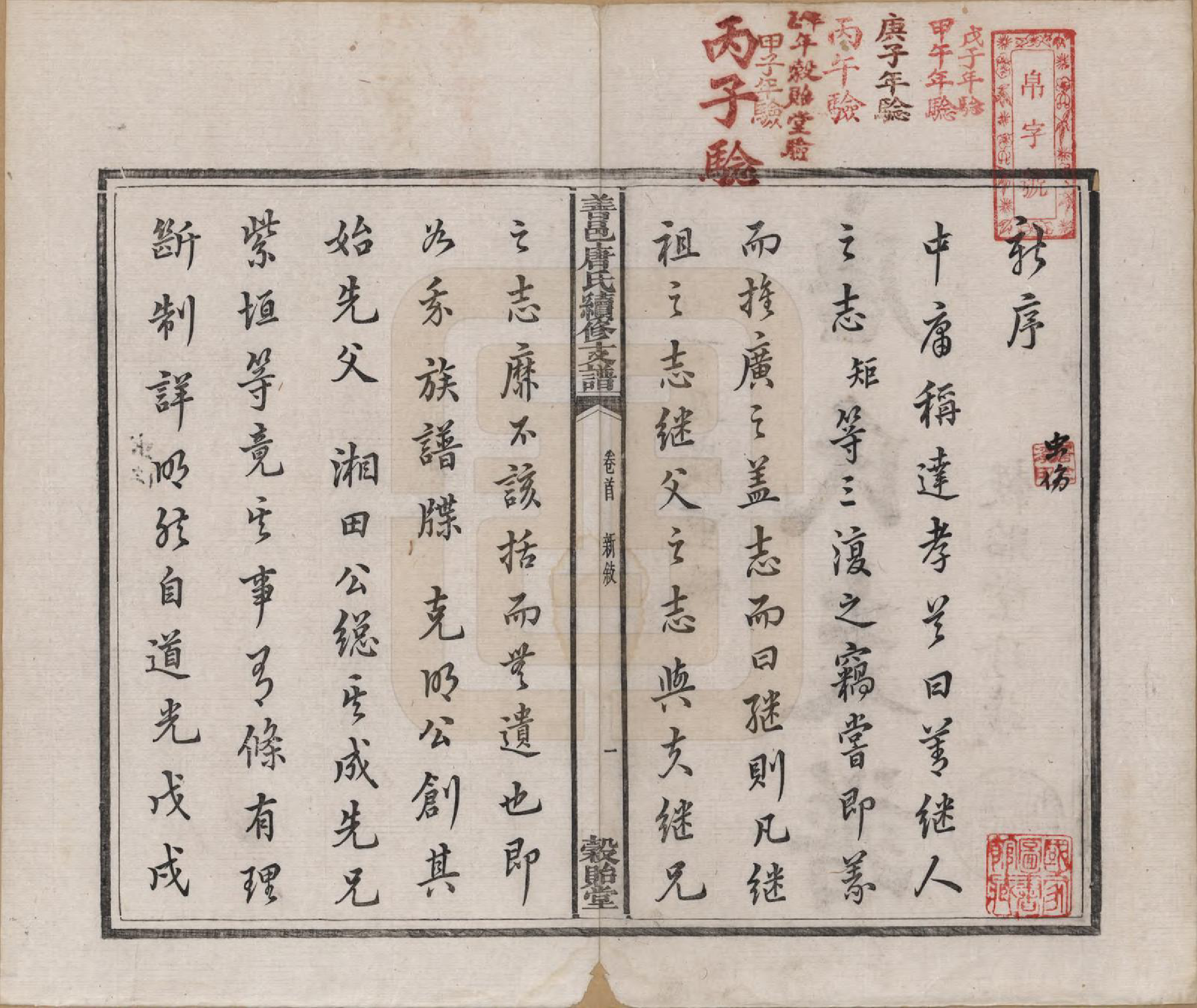 GTJP1407.唐.湖南长沙.善邑唐氏续修支谱.清光绪3年[1877]_001.pdf_第3页