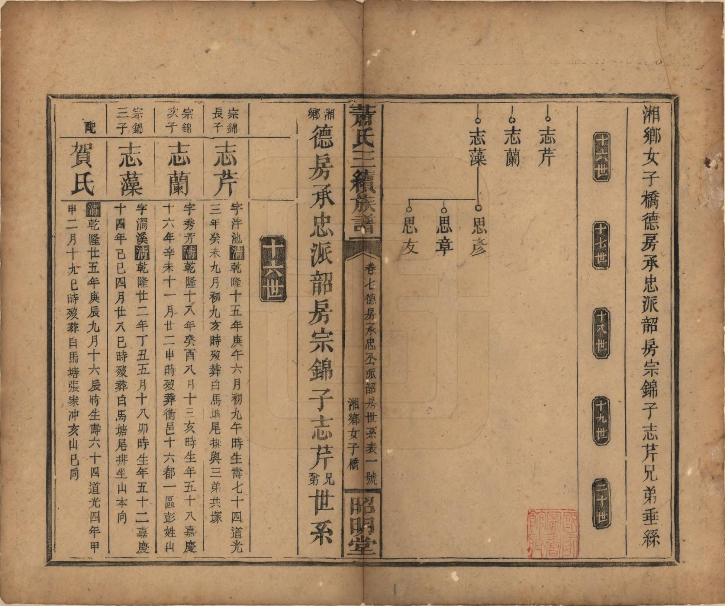 GTJP1761.萧.湖南湘乡、邵阳.萧氏三续族谱.清光绪29年[1903]_007.pdf_第1页