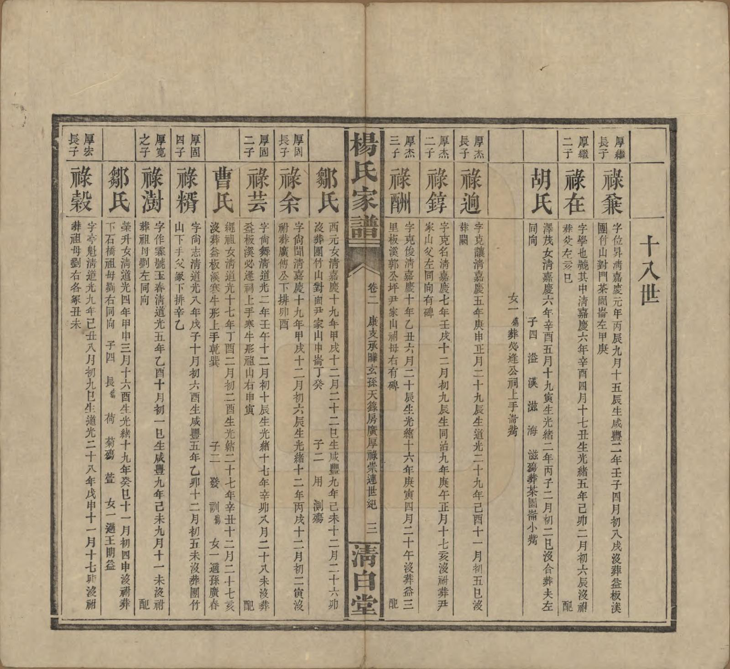 GTJP1939.杨.湖南安化.杨氏家谱.民国10年[1921]_002.pdf_第3页