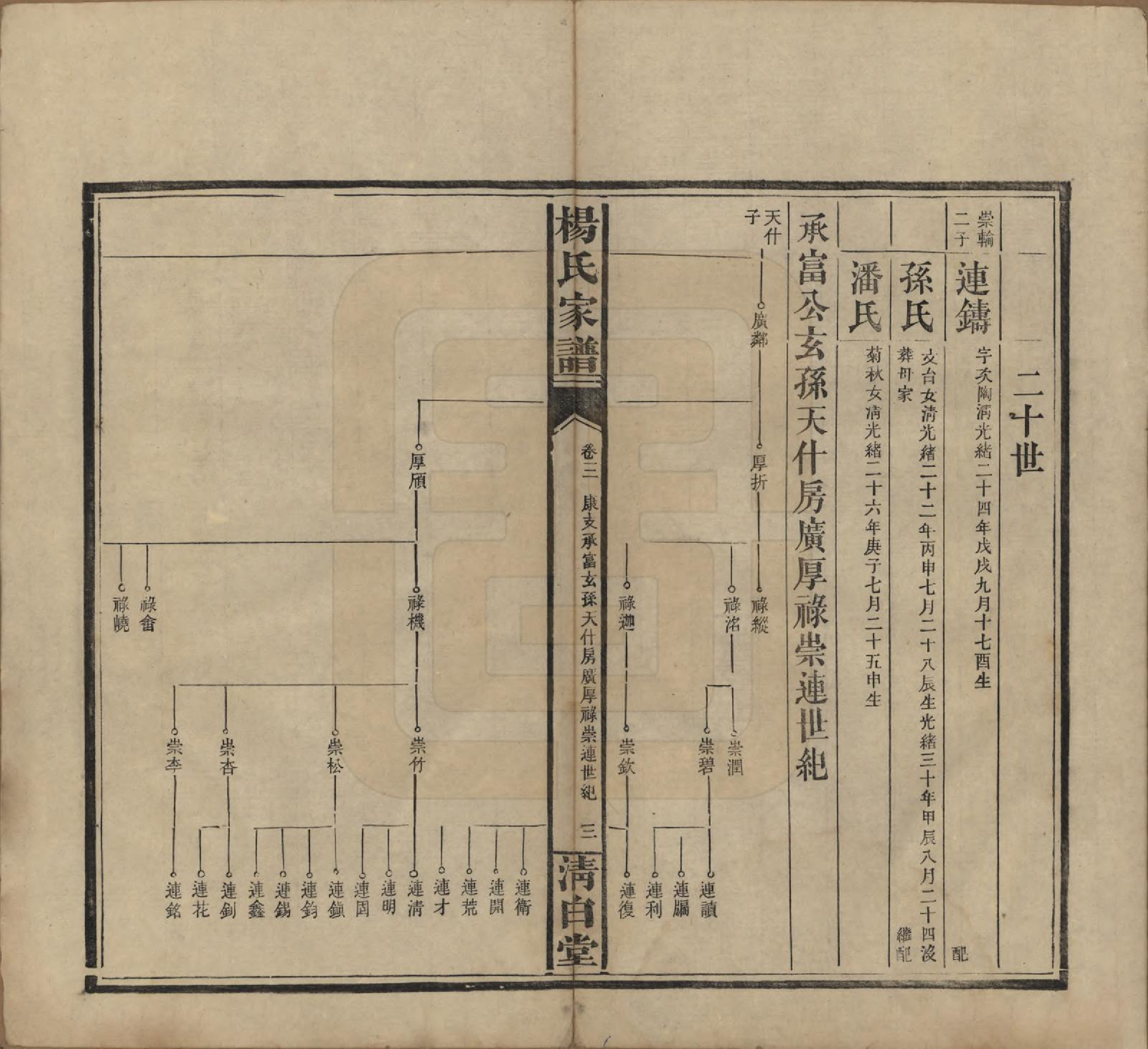 GTJP1939.杨.湖南安化.杨氏家谱.民国10年[1921]_003.pdf_第3页