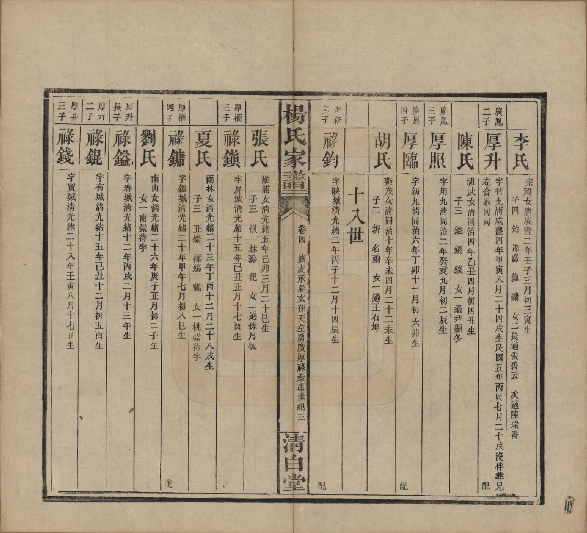 GTJP1939.杨.湖南安化.杨氏家谱.民国10年[1921]_004.pdf_第3页