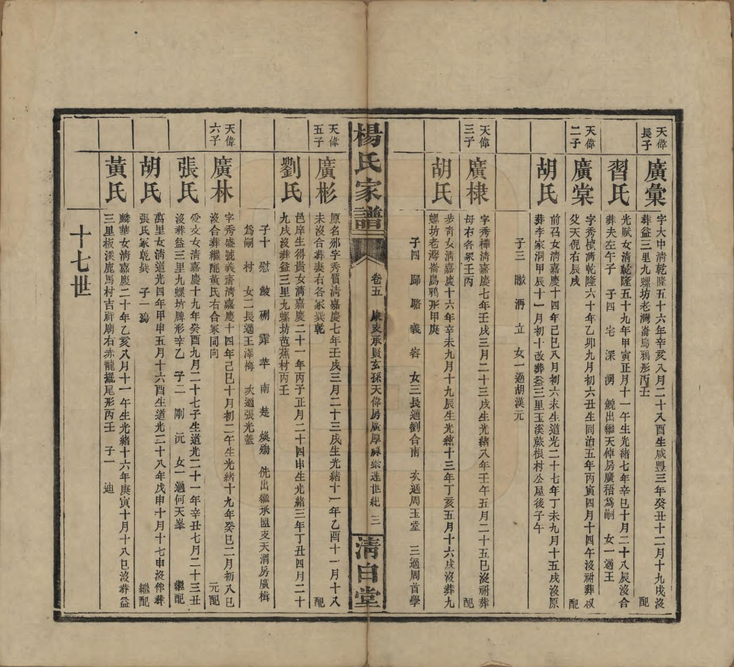 GTJP1939.杨.湖南安化.杨氏家谱.民国10年[1921]_005.pdf_第3页