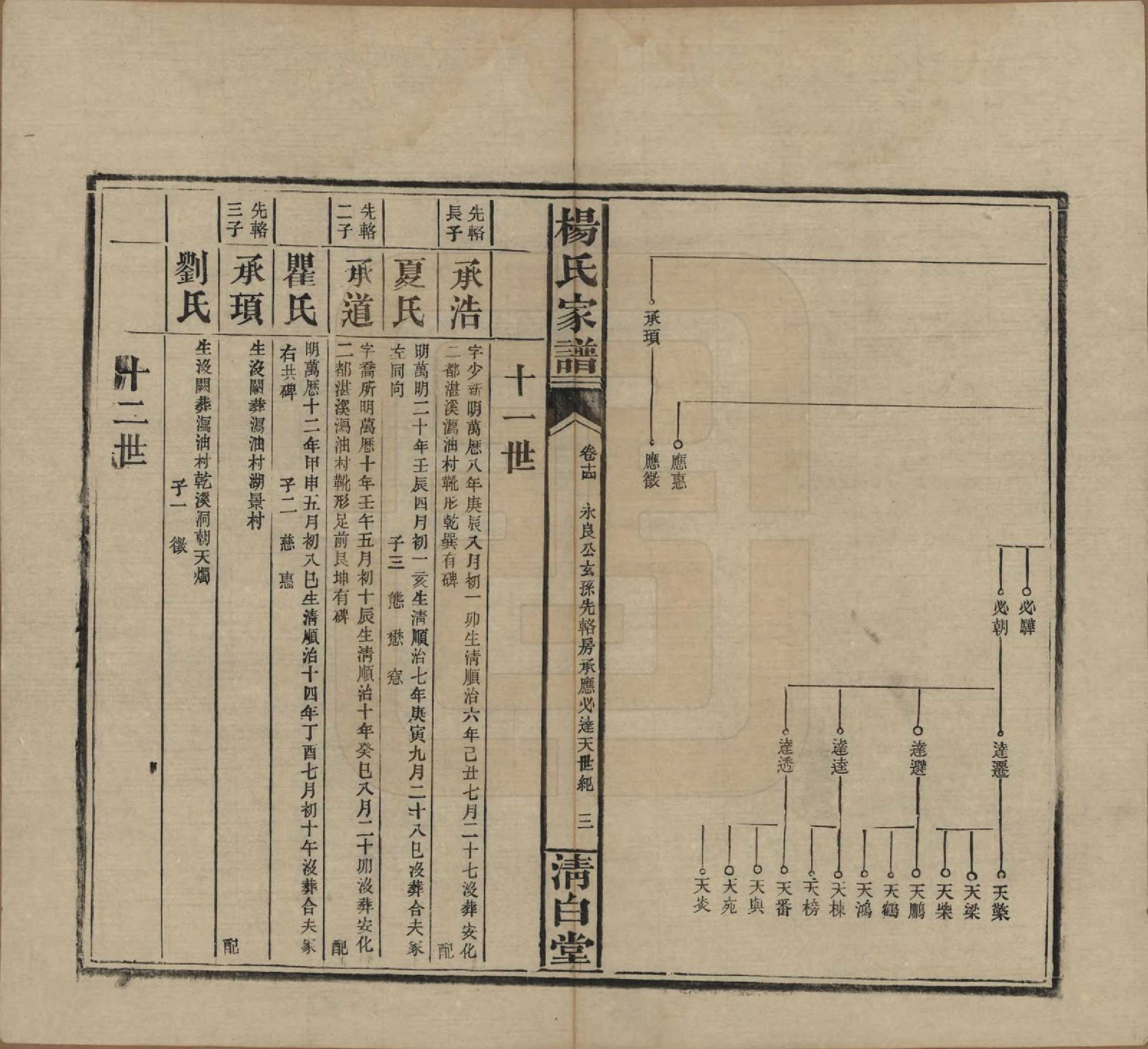 GTJP1939.杨.湖南安化.杨氏家谱.民国10年[1921]_014.pdf_第3页