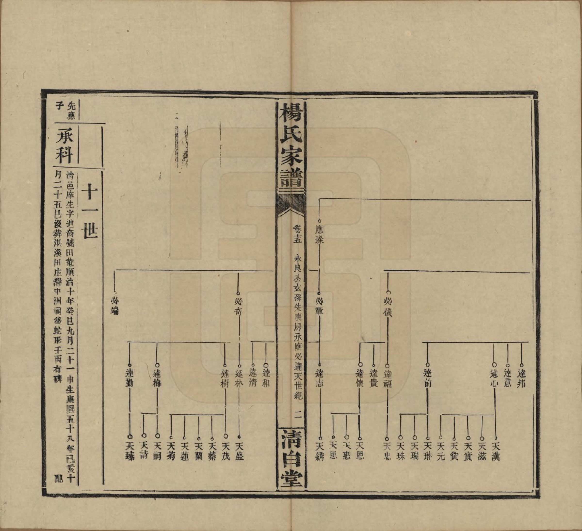 GTJP1939.杨.湖南安化.杨氏家谱.民国10年[1921]_015.pdf_第2页