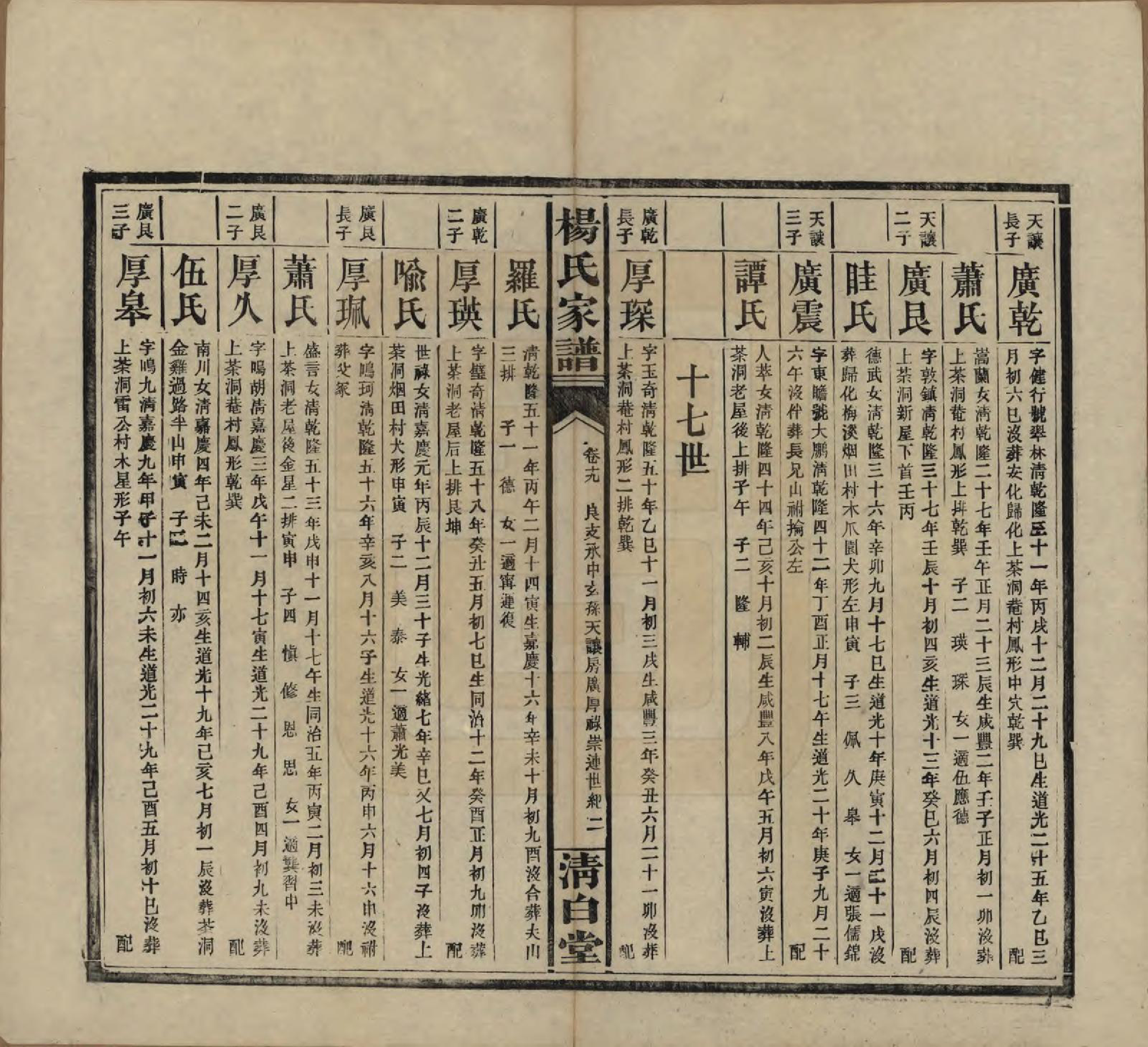 GTJP1939.杨.湖南安化.杨氏家谱.民国10年[1921]_019.pdf_第2页