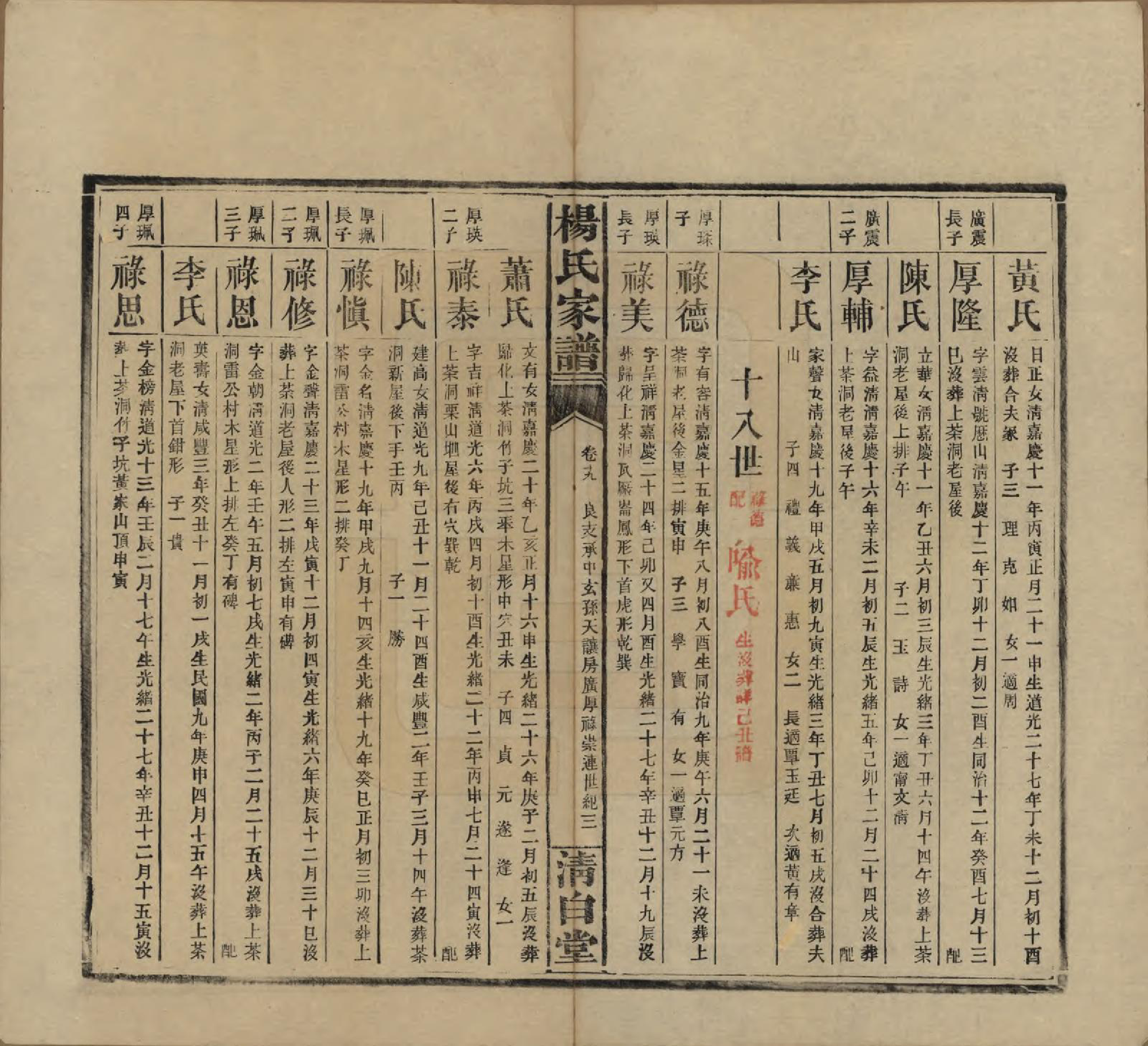 GTJP1939.杨.湖南安化.杨氏家谱.民国10年[1921]_019.pdf_第3页