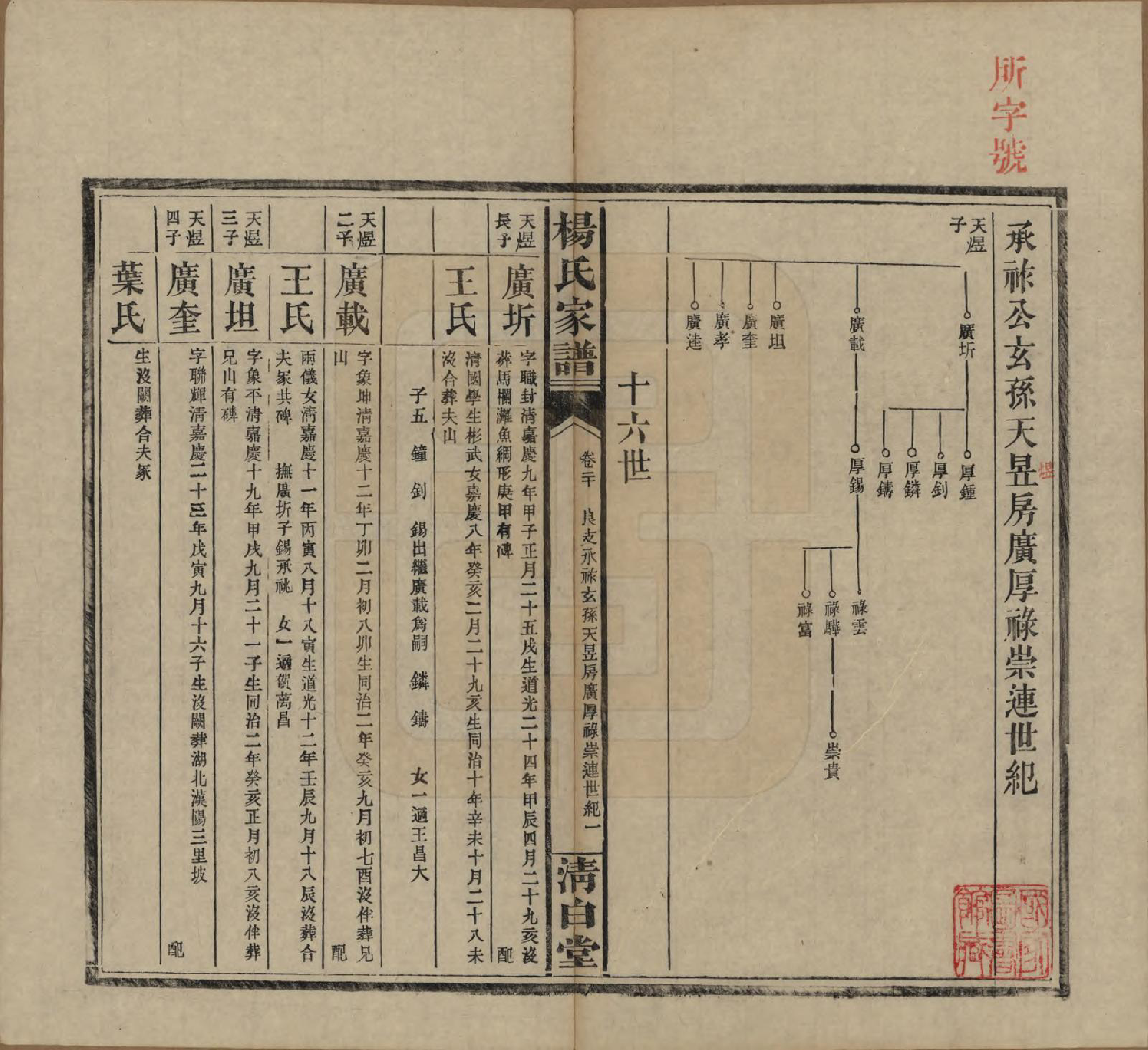 GTJP1939.杨.湖南安化.杨氏家谱.民国10年[1921]_020.pdf_第1页