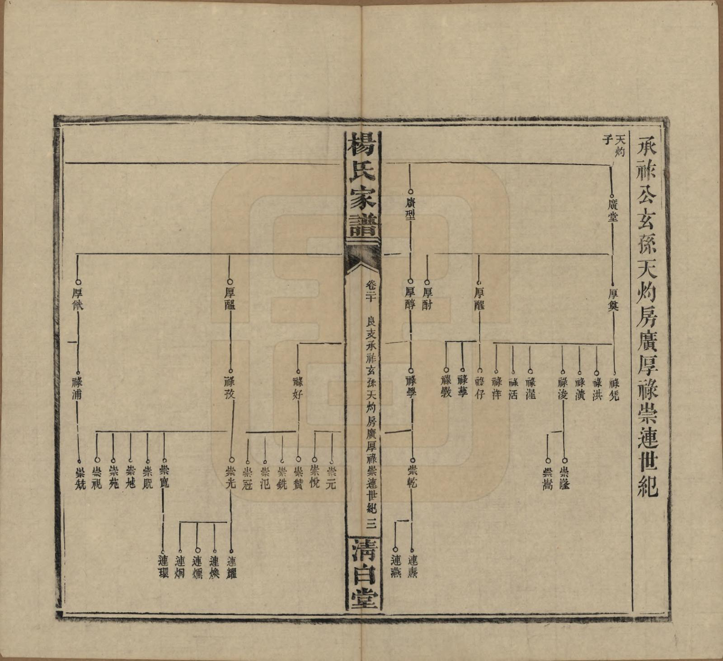 GTJP1939.杨.湖南安化.杨氏家谱.民国10年[1921]_020.pdf_第3页