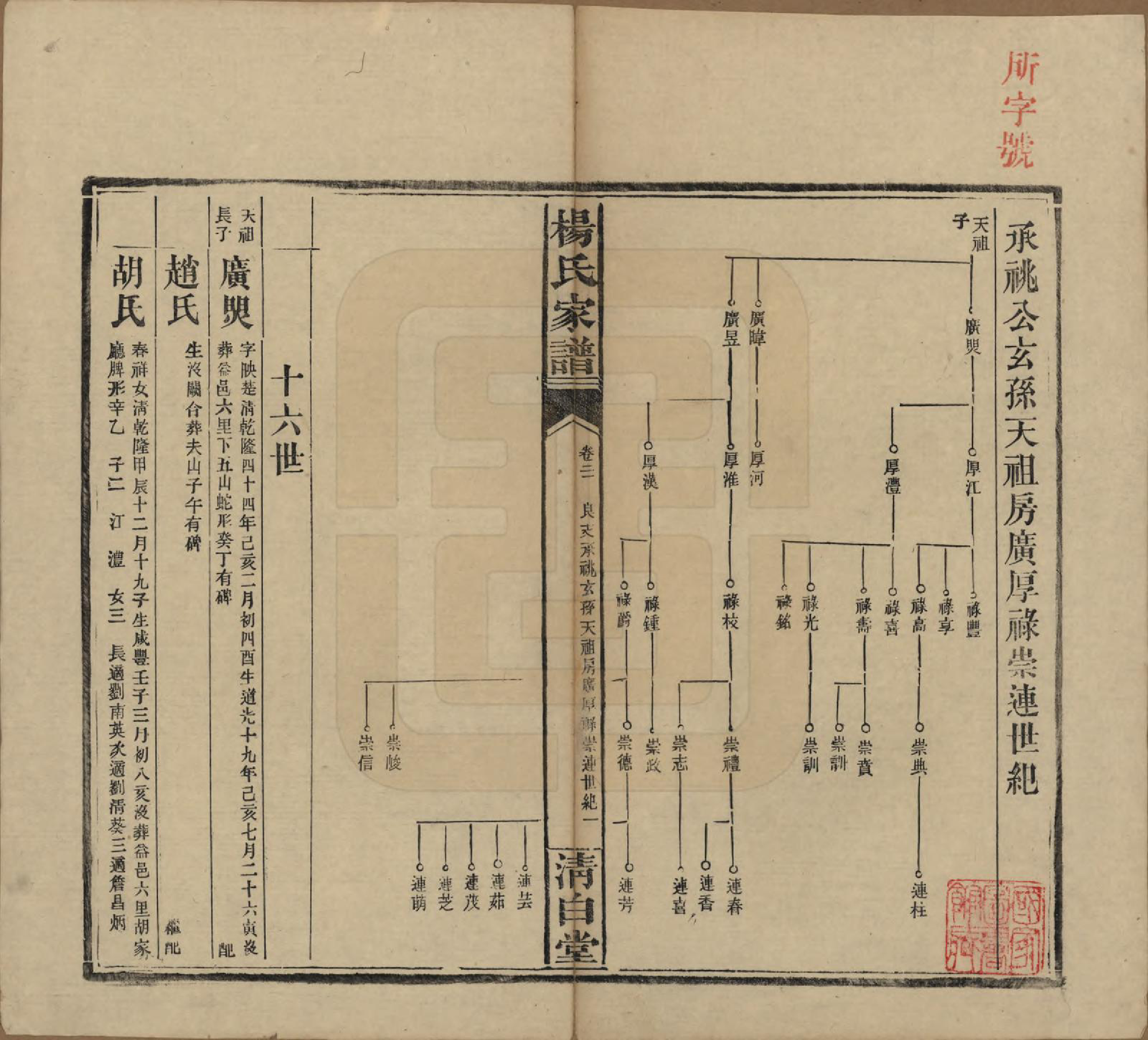 GTJP1939.杨.湖南安化.杨氏家谱.民国10年[1921]_021.pdf_第1页