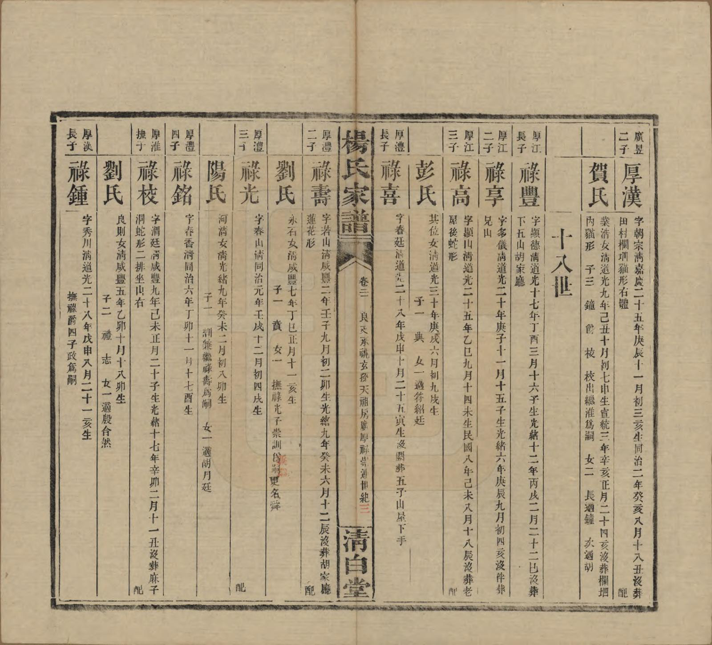 GTJP1939.杨.湖南安化.杨氏家谱.民国10年[1921]_021.pdf_第3页