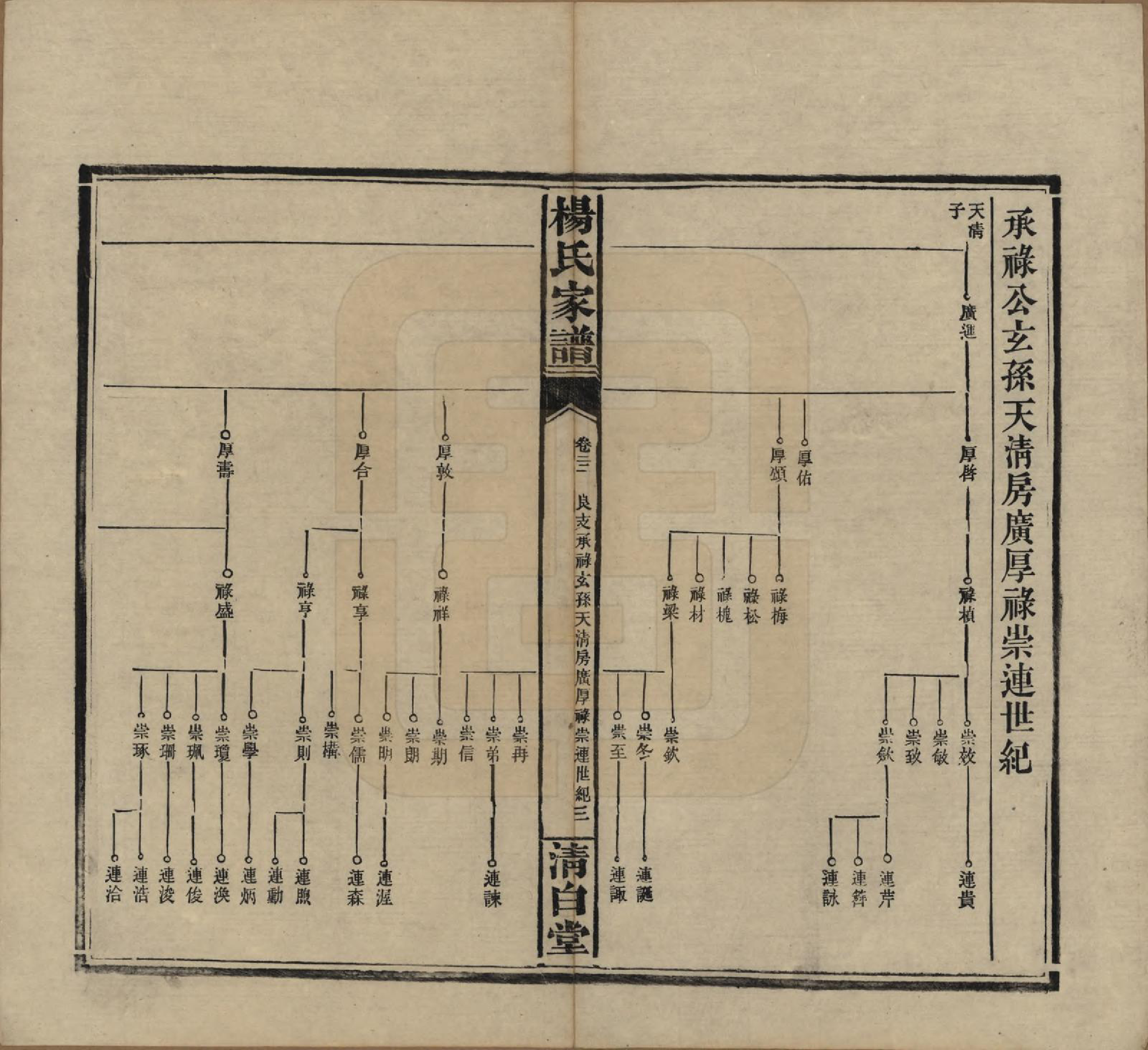 GTJP1939.杨.湖南安化.杨氏家谱.民国10年[1921]_022.pdf_第3页