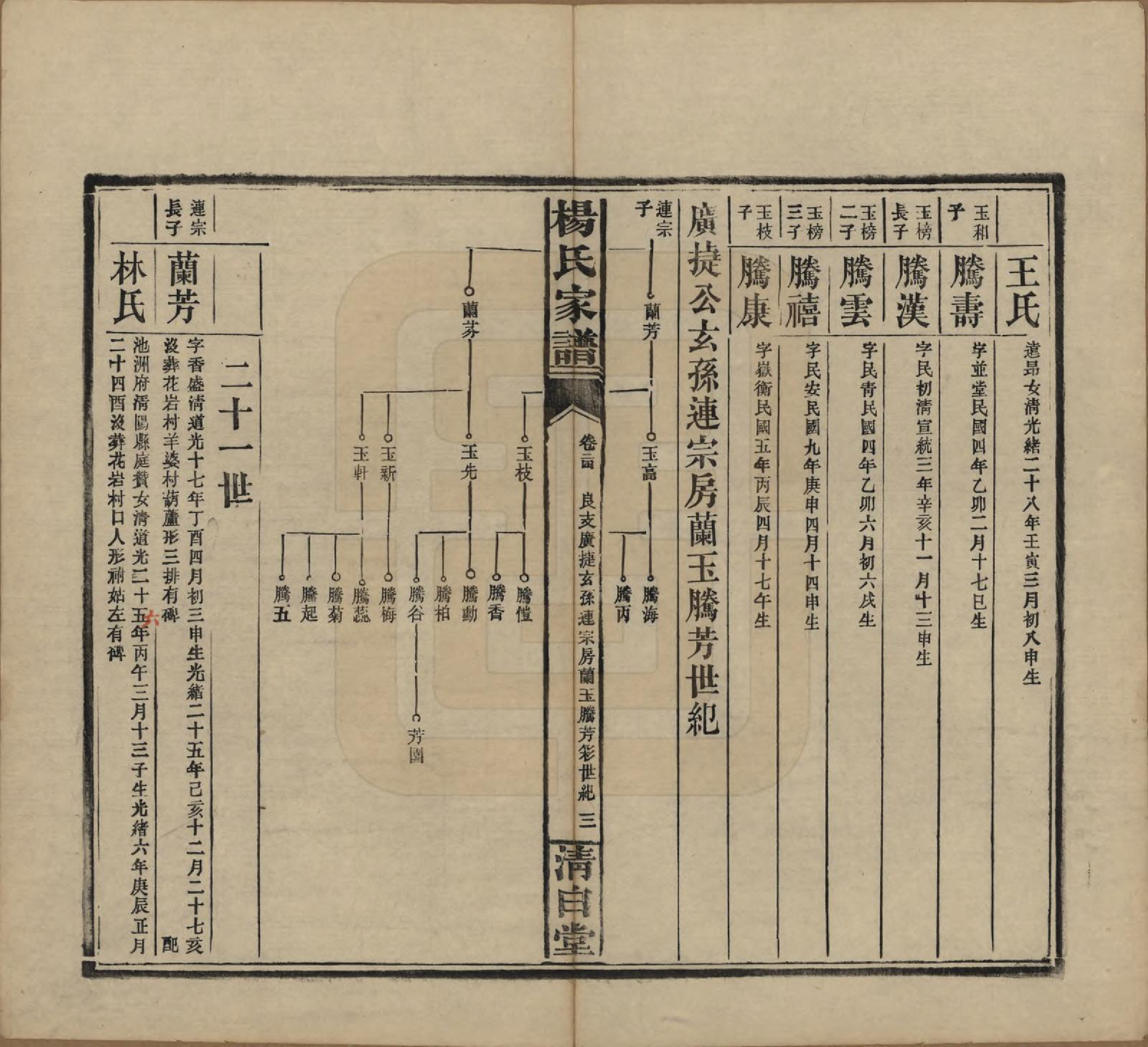 GTJP1939.杨.湖南安化.杨氏家谱.民国10年[1921]_024.pdf_第3页