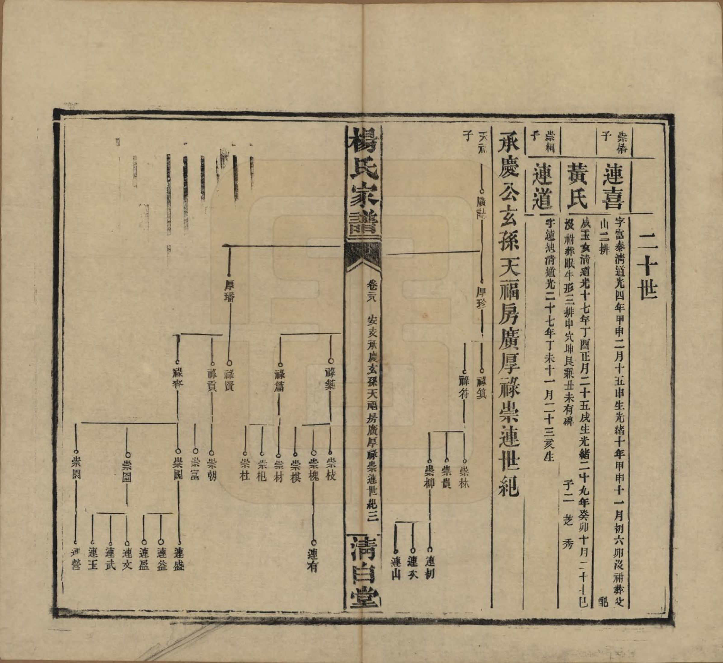 GTJP1939.杨.湖南安化.杨氏家谱.民国10年[1921]_028.pdf_第3页