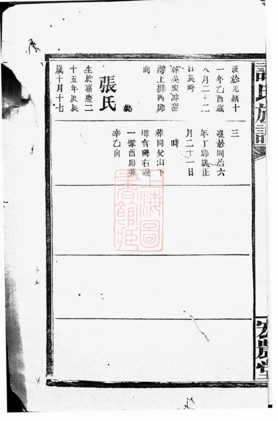 4396.谭氏族谱.pdf_第3页