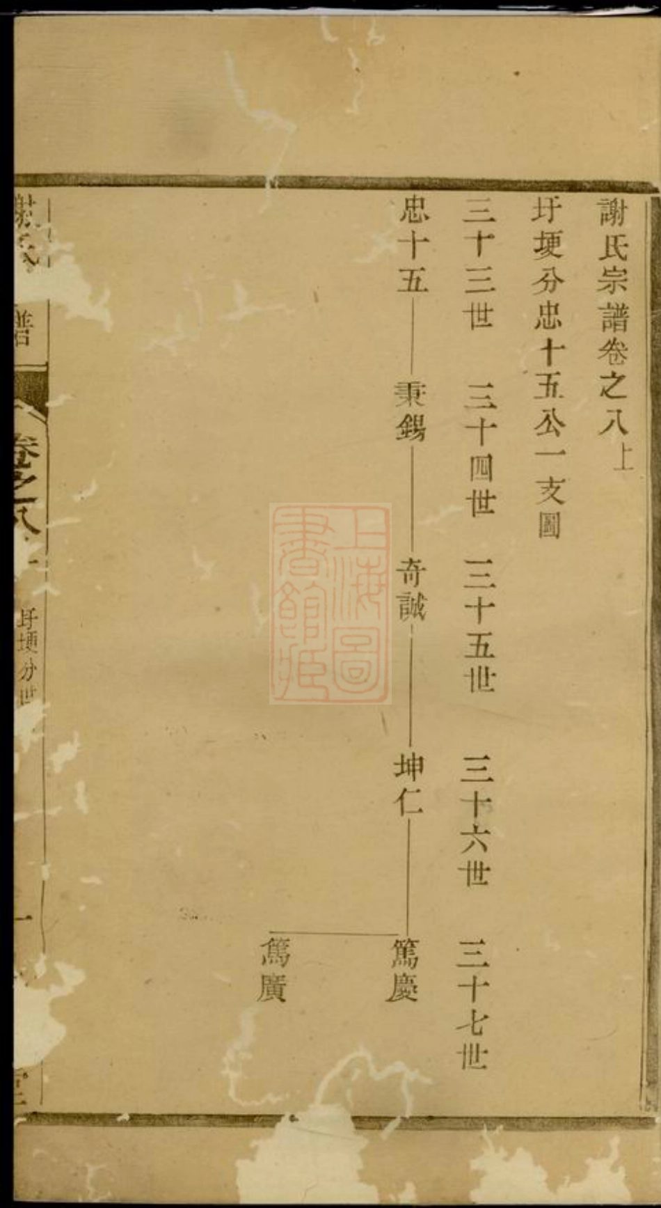 4166.谢氏宗谱.pdf_第2页